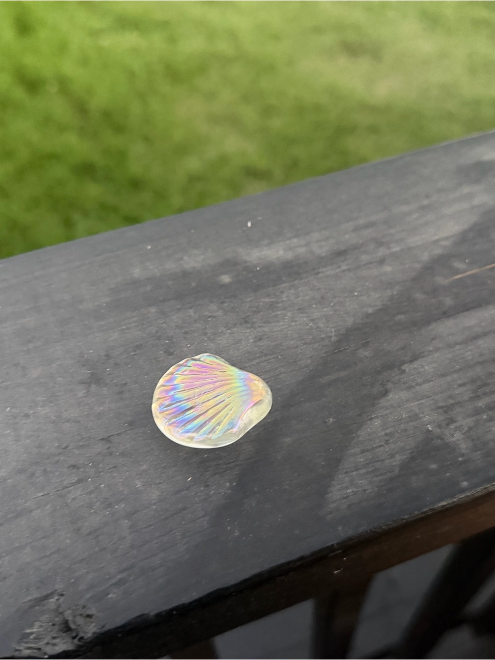 Small Iridescent Glass Shell - Picture 8 of 8